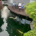 Gemuetliche In Ortsrandlage Rüdesheim am Rhein