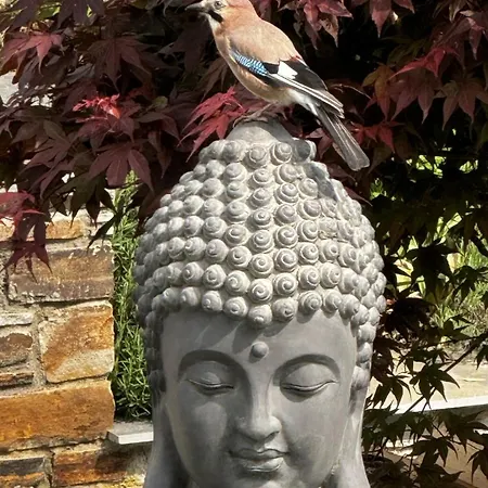 Gemuetliche In Ortsrandlage Appartement Rüdesheim am Rhein