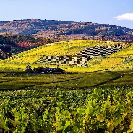 Gemuetliche In Ortsrandlage