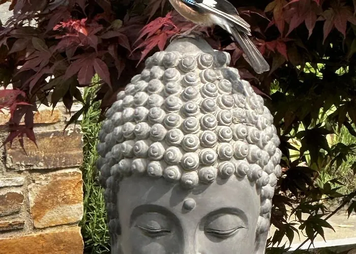 Gemuetliche In Ortsrandlage Apartman Rüdesheim am Rhein