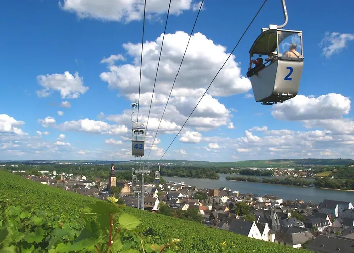 Gemuetliche In Ortsrandlage * Rüdesheim am Rhein