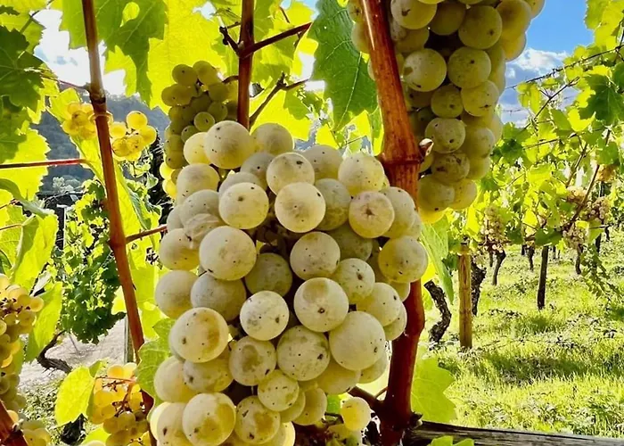 Gemuetliche In Ortsrandlage