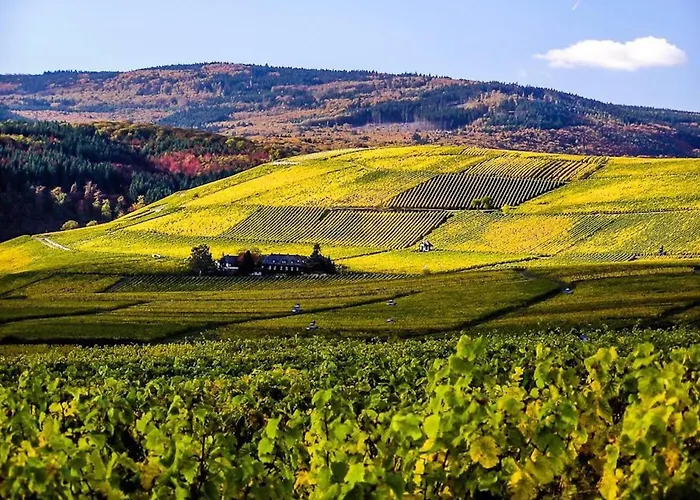 Gemuetliche In Ortsrandlage