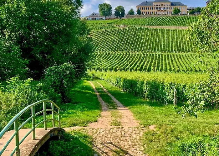 Apartman Gemuetliche In Ortsrandlage Rüdesheim am Rhein